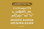 Tropi Land, a Handwritten Font by HansCo Studio (Thumbnail 8 of 9)