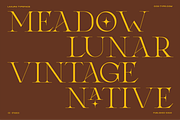 Laxura – Elegant Ligature Serif Font, a Serif Font by CCS Type (Thumbnail 8 of 16)