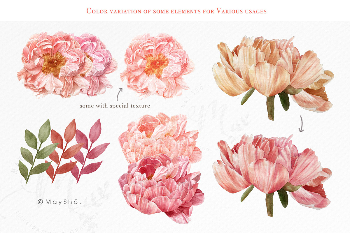 LivingCoral Watercolor Flowers, an Illustration by May • SHO (Photo 6 of 13)