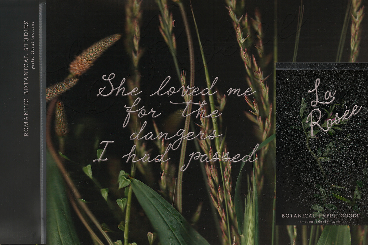 La Rosee Botanical Backgrounds, a Wallpaper Graphic by nadispasibenko (Photo 4 of 9)