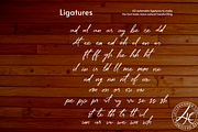 Astellan Font, a Handwritten Font by Letterhanna Studio (Thumbnail 17 of 25)