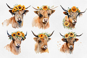 Highland cow, Highland cow 25 PNG, an Animal Illustration by Illustrator Space (Thumbnail 2 of 6)