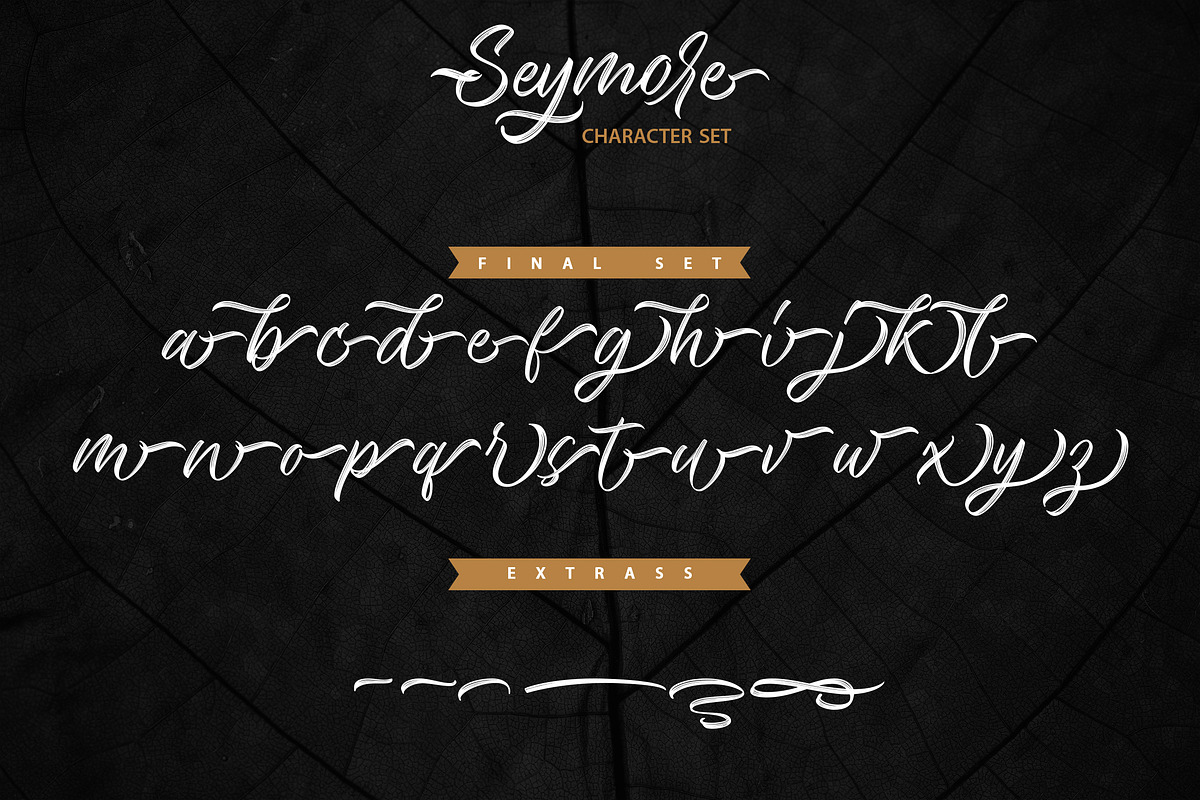 Seymore – Brush Script Font, a Script Font by Typefactoryco (Photo 11 of 12)