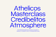 Caliburn Grotesk | Modern Variable, a Sans Serif Font by InkwellTypeCo (Thumbnail 8 of 15)