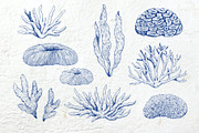 Coral gardens. Patterns collection, a Pattern Graphic by Robusta (Thumbnail 15 of 16)