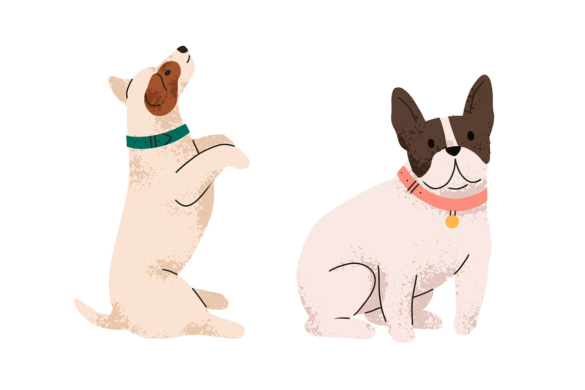 Cute dogs of different breeds set, an Animal Illustration by Good Studio (Photo 5 of 7)