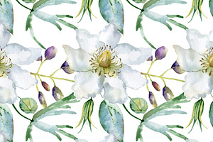 Floral Watercolor Seamless Patterns