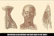 100 Vintage Medical Illustrations, a Healthcare Illustration by Dene Studios (Thumbnail 4 of 7)