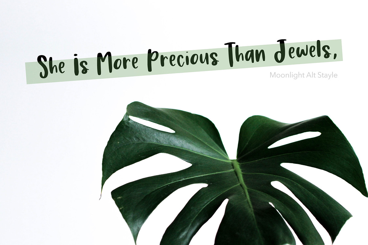 Moonlight | Script Font Duo preview 4