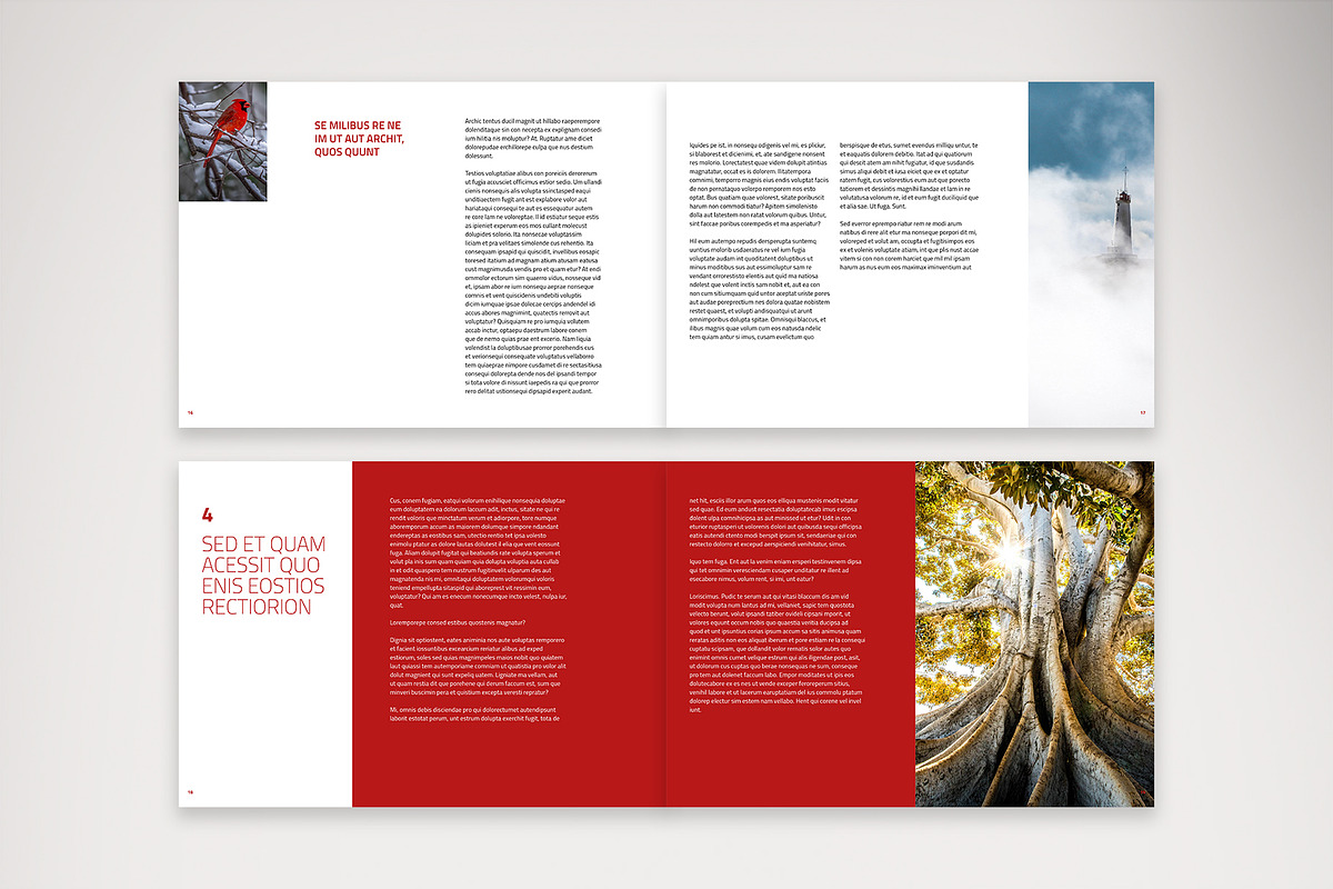 Landscape Business Report Design, a Brochure Template by McLittle Stock (Photo 6 of 7)