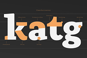 Ulises, a Font by W Type Foundry (Thumbnail 5 of 13)