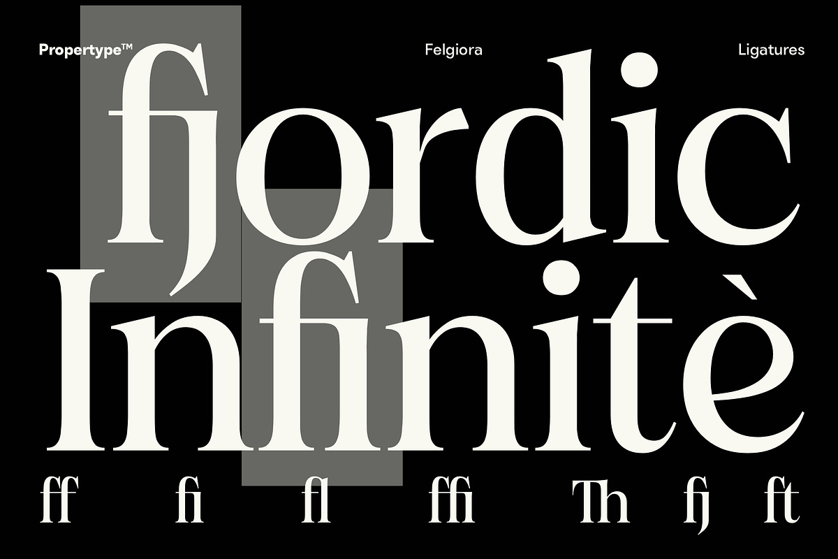 Felgiora, a Serif Font by Propertype (Photo 14 of 16)