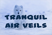 Discover Elegance with Modern Font, a Serif Font by Ink & Pixel Dreams (Thumbnail 5 of 5)