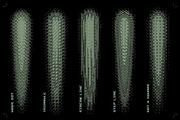Certified Joints - PS Actions Bundle, an Action Add-On by bangingjoints (Thumbnail 43 of 54)