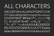 CS Rodney – Sans Serif Typeface, a Sans Serif Font by Craft Supply Co. (Thumbnail 8 of 8)
