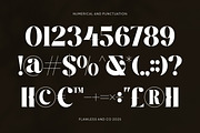 Ragika - Elegant Retro serif, a Serif Font by Flawless And Co (Thumbnail 10 of 10)