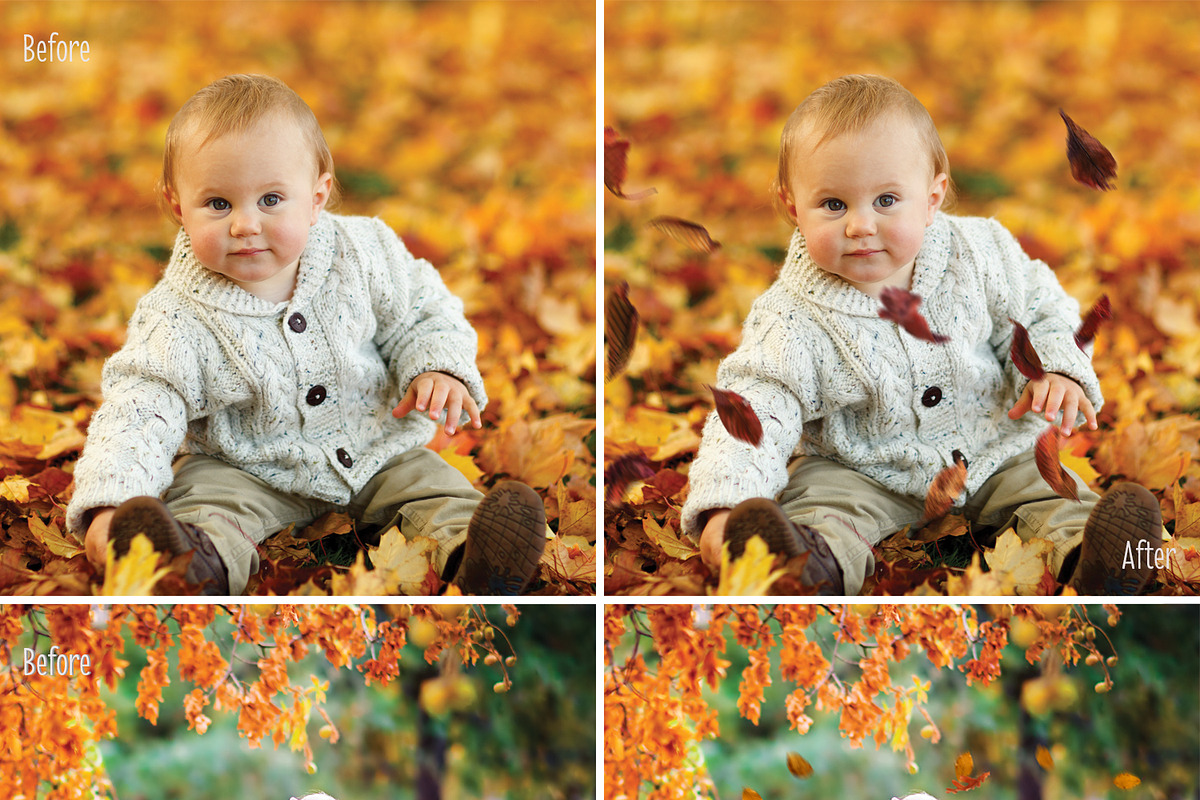 40 Autumn Leaves Overlays preview 2