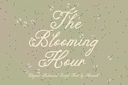 The Blooming Hour Botanical Script, a Script Font by AnMark (Thumbnail 1 of 12)