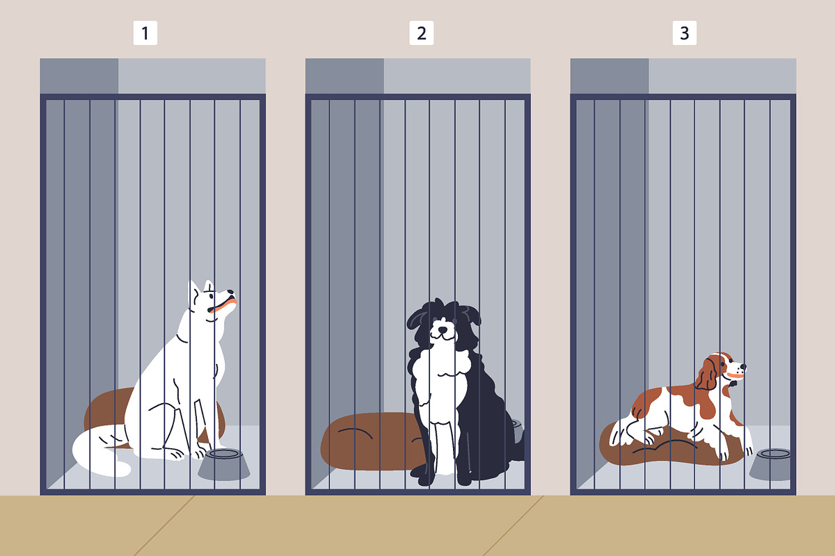 Volunteers & pets at animal shelter, an Animal Illustration by Good Studio (Photo 10 of 10)