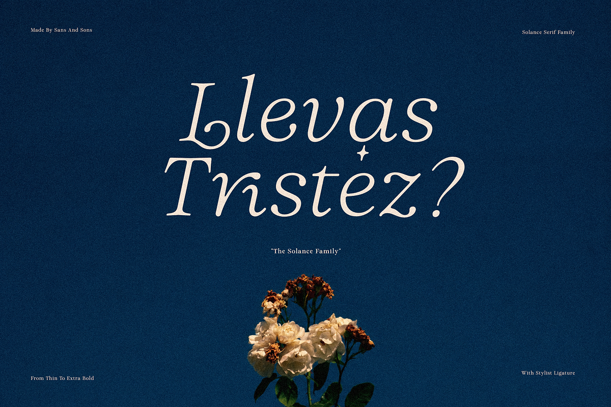 Solance Italic Family, a Serif Font by Sans & Sons (Photo 8 of 10)