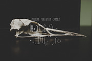 Slender, a Font by Rowlison Creative (Thumbnail 5 of 14)
