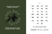 Veneer, a Serif Font by Loudoun Design Co. (Thumbnail 10 of 11)