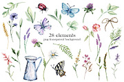 SALE! Watercolor set wild flowers., an Illustration by Larisa Maslova (Thumbnail 6 of 9)