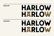Vacationland, a Sans Serif Font by Abby Swain Design (Thumbnail 3 of 10)