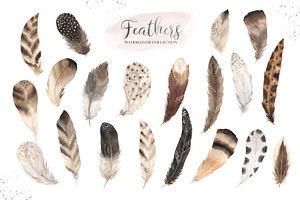 Watercolor Delicate Feathers Set