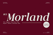 Morland – A Modern Elegant Serif