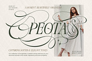 Dove and Goose Typeface, a Serif Font by alit design (Thumbnail 3 of 20)