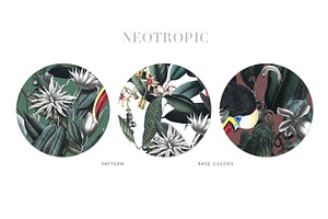 Neotropical, Pattern & Motifs