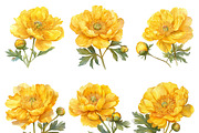 Watercolor Yellow Flower Clipart, an Object Illustration by Design Scotch (Thumbnail 2 of 7)