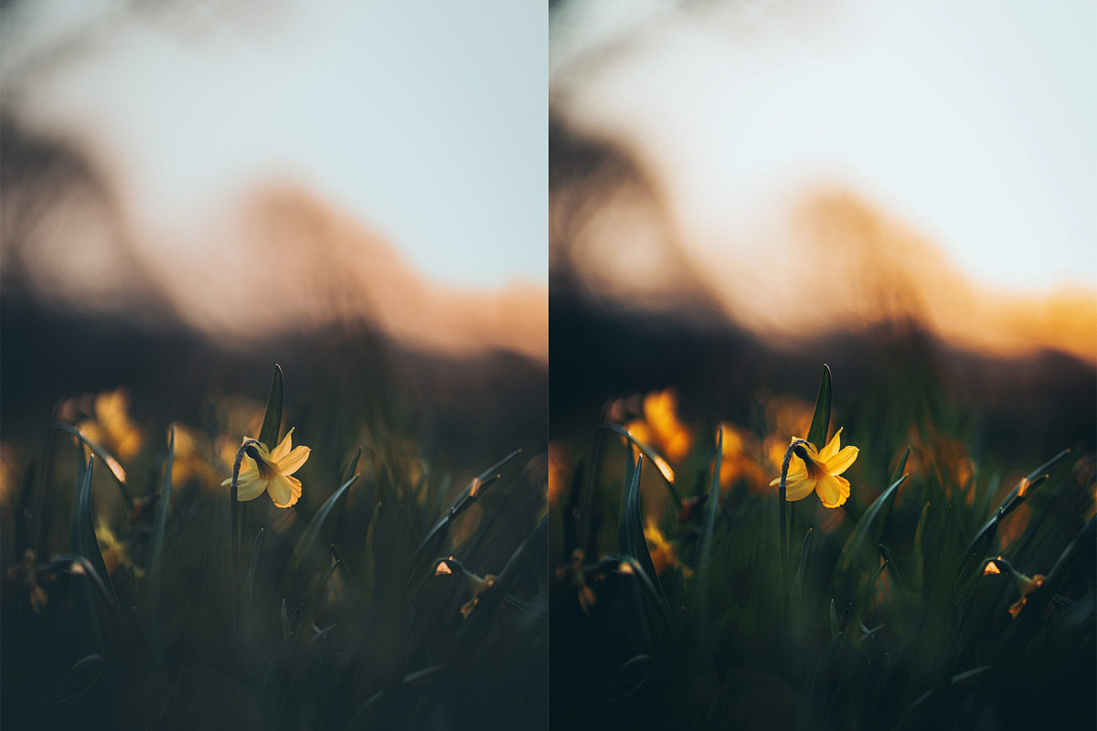 HDR Photoshop Actions, an Action Add-On by Bato (Photo 12 of 16)
