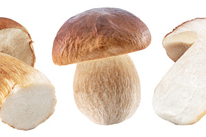 Group of porcini mushrooms isolated, a Food & Drink Photo by Volff