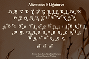 Romantic Adore - Beautiful Sans Font, a Sans Serif Font by Say Studio (Thumbnail 13 of 14)