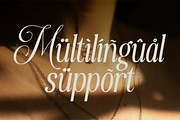 Maerison - Trio Serif Script Font, a Serif Font by Flawless And Co (Thumbnail 10 of 10)