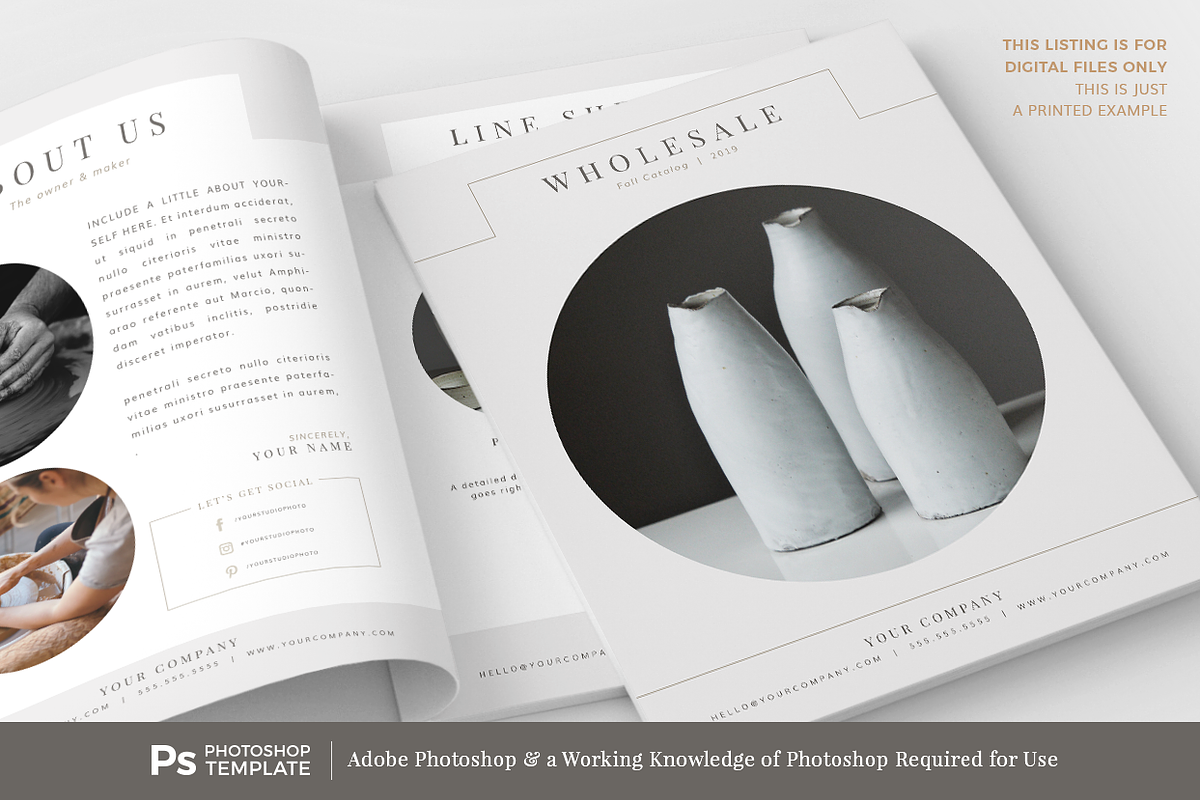 Wholesale Catalog Template PHOTOSHOP, a Brochure Template by Digiluxe (Photo 3 of 4)