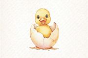 Funny Cute Animal Peeking clipart, an Illustration by Watercolor design (Thumbnail 12 of 13)