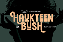 Haukteen Bush – Decorative Font