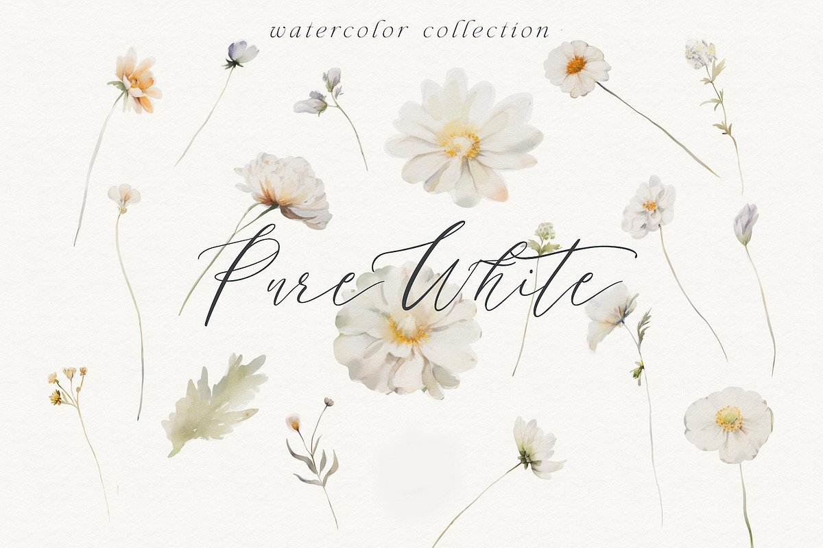 NEW! Late Summer Bundle, an Illustration by Isabelle Salem (Photo 147 of 216)