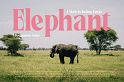 Rakizen Bisrony — Modern & Classic, a Serif Font by Enxyclo Studio (Thumbnail 4 of 23)