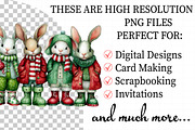 Holiday bunnies – Christmas rabbit, an Illustration by Daily.Designs (Thumbnail 2 of 5)