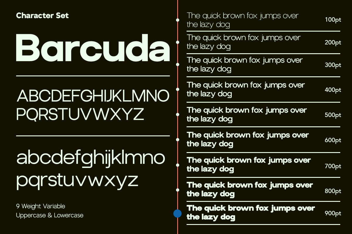 GC Barcuda – New modern Sans, a Sans Serif Font by Glyphonic (Photo 2 of 15)