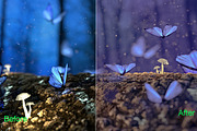 Nature Photoshop Actions 220 Bundle, an Action Add-On by ARTNEST (Thumbnail 6 of 12)