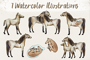 Big Life Cycle Bundle, an Education Illustration by Tati Bordiu (Thumbnail 13 of 43)