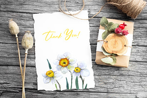 Watercolor Clipart. Daffodil Png