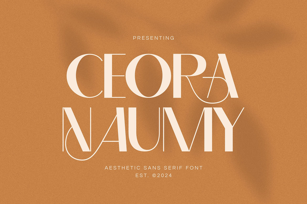 Ceora Naumy - Aesthetic Sans Serif, a Sans Serif Font by Imoodev (Photo 1 of 6)