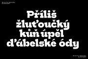 HN Cito, a Slab Serif Font by Hora Nocte (Thumbnail 6 of 12)