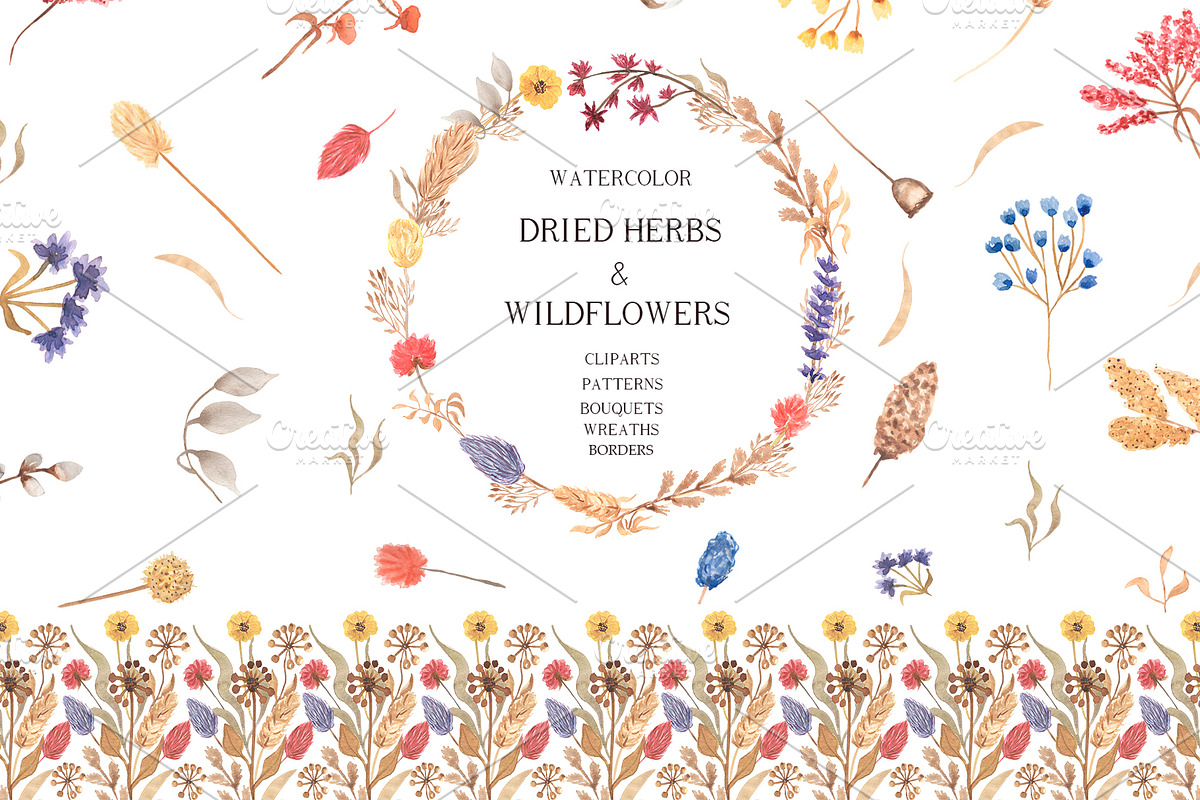 Dried Herbs and Wildflowers, an Illustration by MayaNavits (Photo 1 of 13)